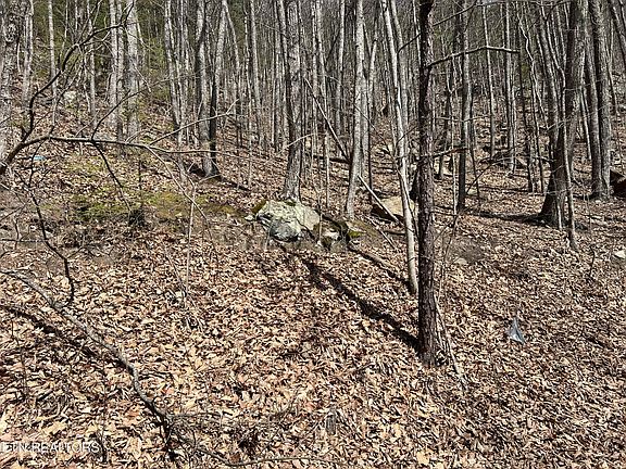 5th image of 0 Clingmans Vw Lot 18