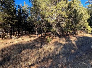 1 2nd Rd, Angel Fire, NM 87710