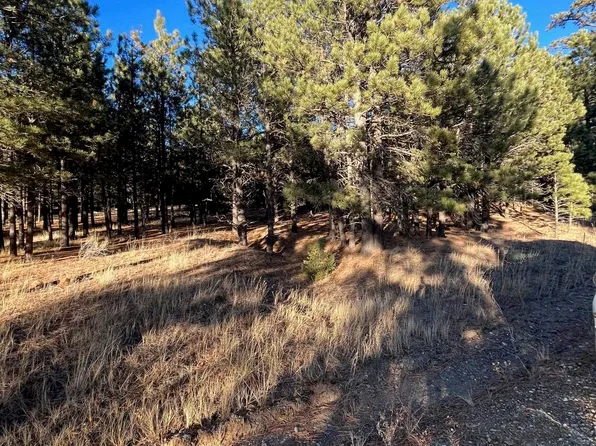 1 2nd Rd, Angel Fire, NM 87710