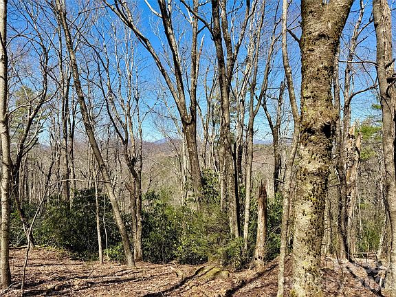 2nd image of Grandview Dr Tract A