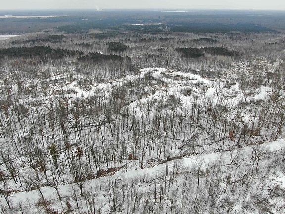 4th image of 81.54 AC 28th St Acres