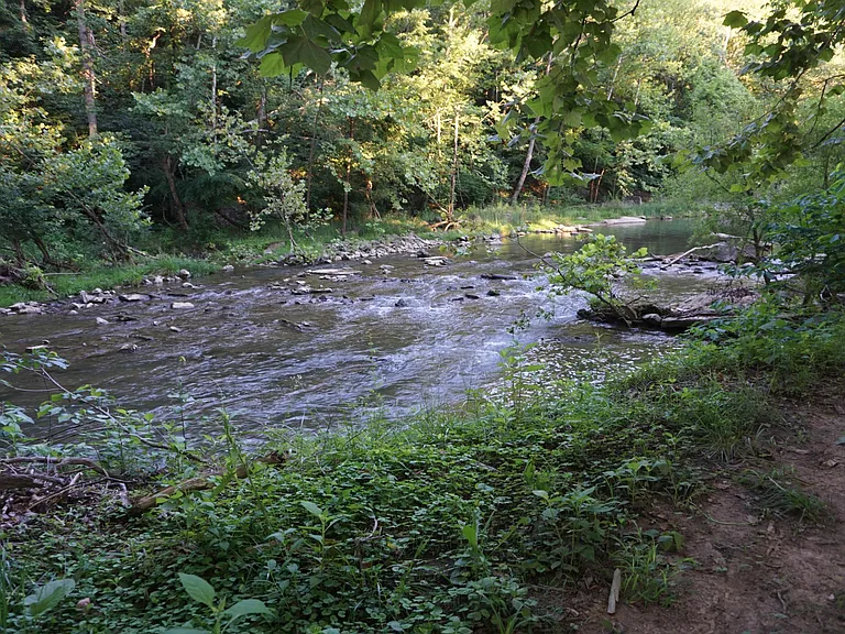 Catawba creek on the farm