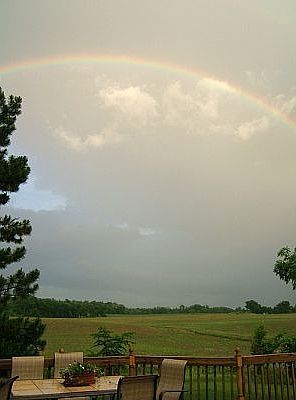 view from back deck