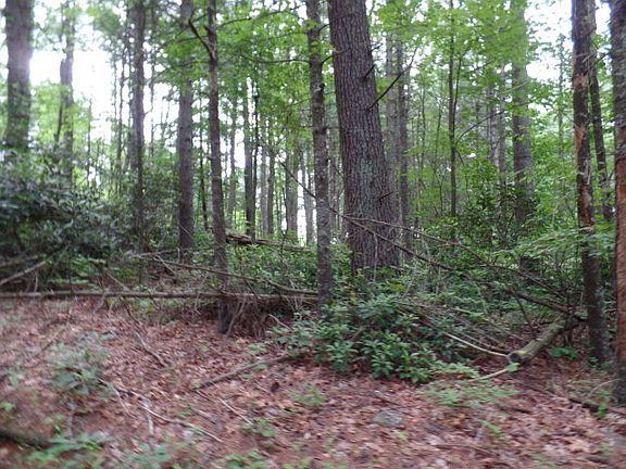 4th image of Lot 41 Sidney Ln