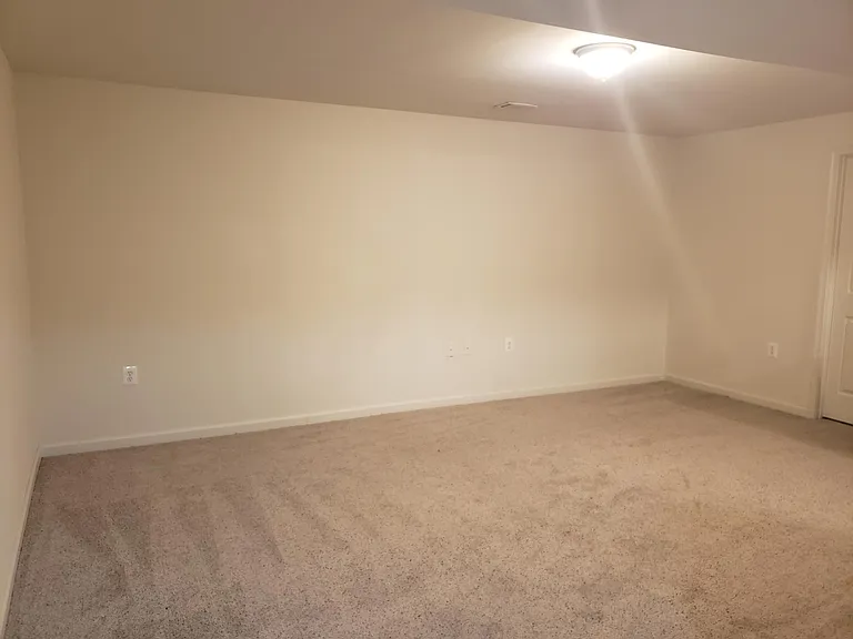 Bonus Room in basement