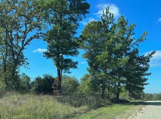 133 Royal Pines Dr, Bastrop, TX 78602
