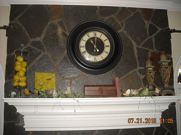 Wood or gas fireplace in fam