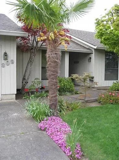 309 Pinehurst Dr — Photo 2
