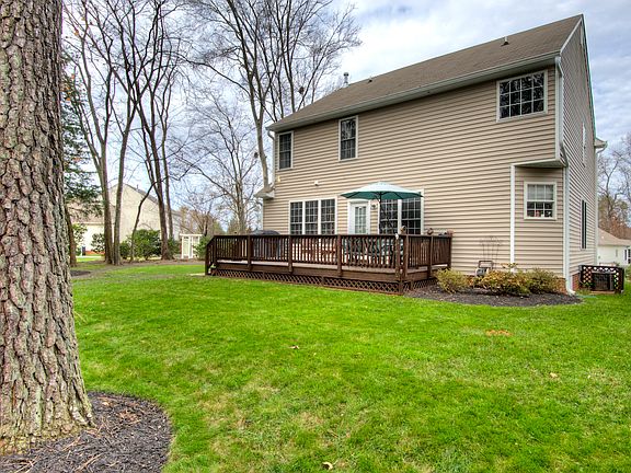 Spacious & Level Backyard