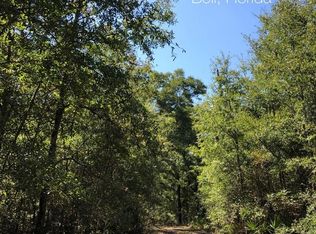 2460 NW 65th Ave, Bell, FL 32619