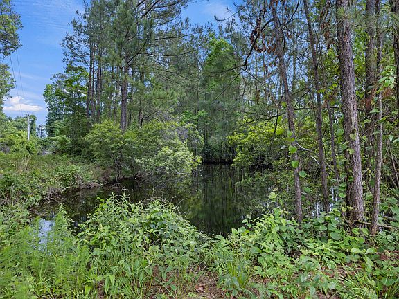 3rd image of 5348 Tidewater Dr