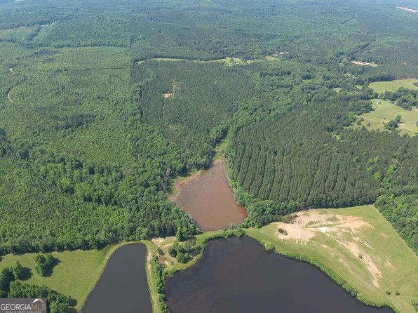 98.81 Ellis Rd, Greenville, GA 30222