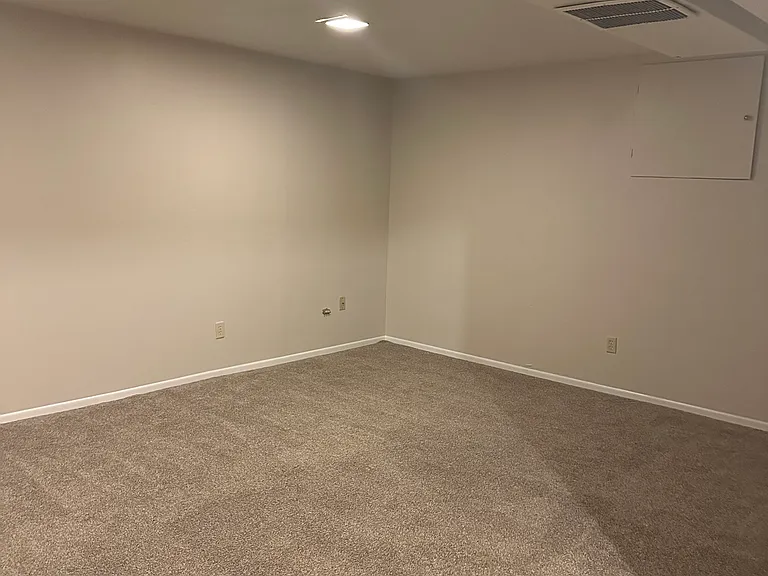 Basement bonus room.