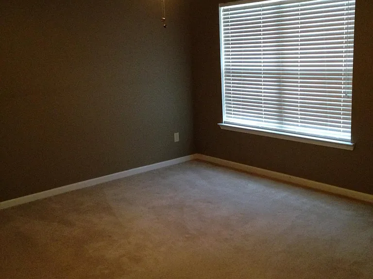 341 Plum Hollow Blvd — Photo 11
