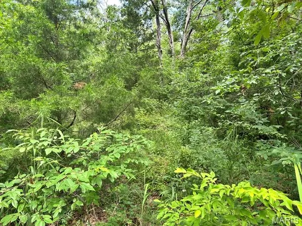 595 Utica Dr, Iron Mountain, MO 63624