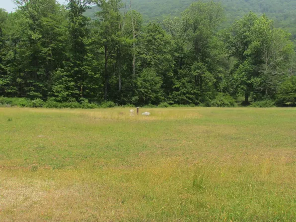LOT 2 Elk Grove Rd, Benton, PA 17814