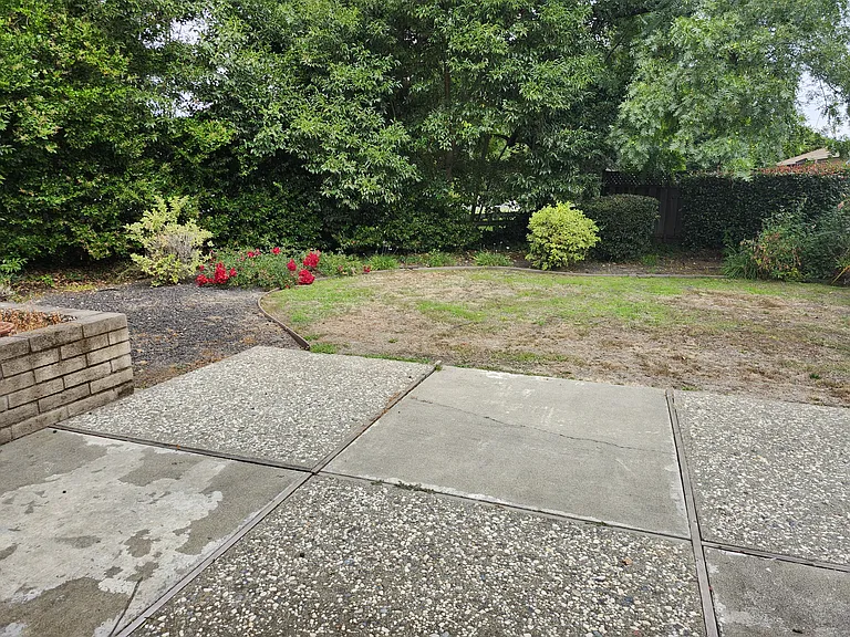 141 Meese Ct — Photo 30