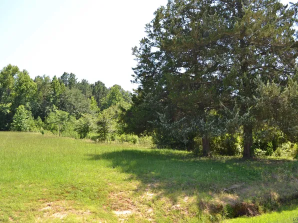 Hidden Falls Rd, Gilmer, TX