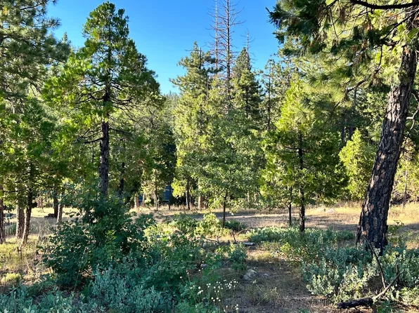 2730 Evergreen Dr, Arnold, CA 95223