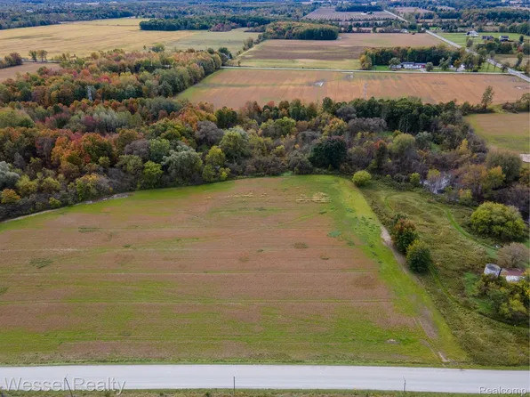 PARCEL 6 Lambs Rd, Goodells, MI 48027