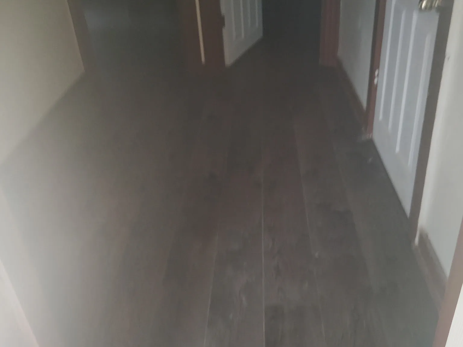 3 bed, 1200 sqft, $1,650 — Photo 4