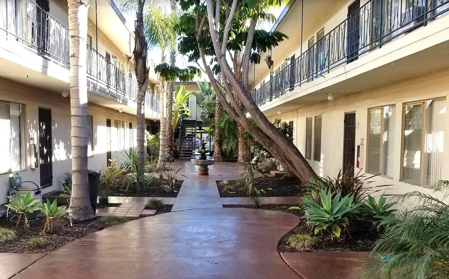 The Palms — Photo 2