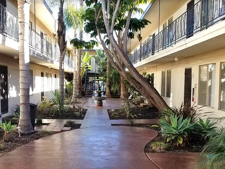 The Palms — Photo 2