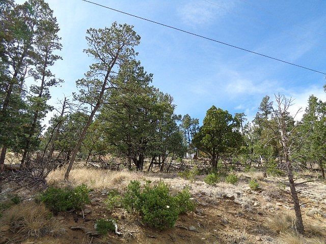 2nd image of 130 Big Sky Ln