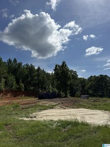 375 County Road 779 #0, Jemison, AL, 35085