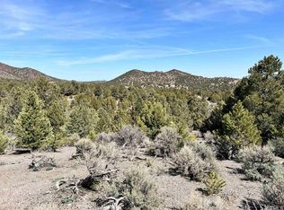 21385 Castle Peak Rd, Reno, NV 89521