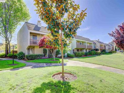 3115 La Cresta, Alameda, CA, 94502