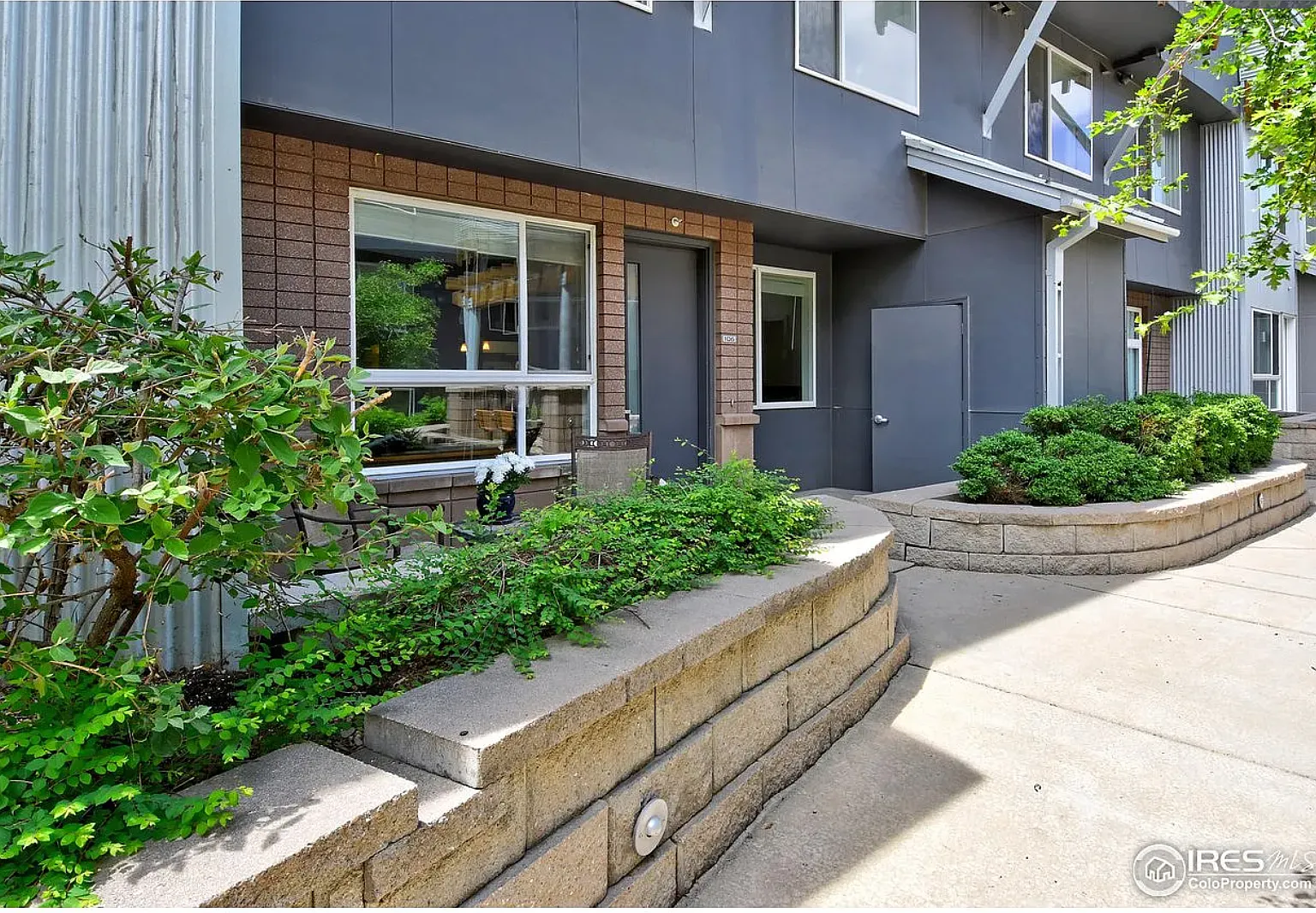 3 bed, 1360 sqft, $3,800 — Photo 1