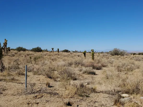 223rd Street East & Ave #X-8, Llano, CA 93544