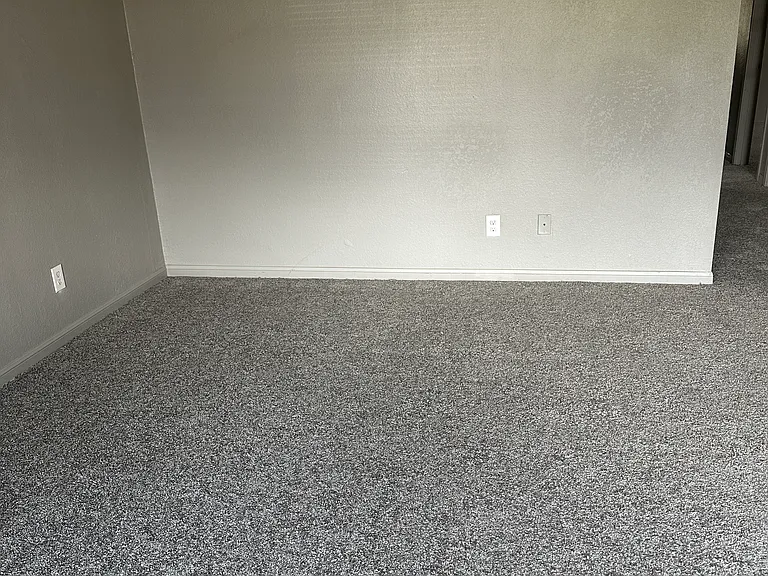 207 E Ross Ave — Photo 3