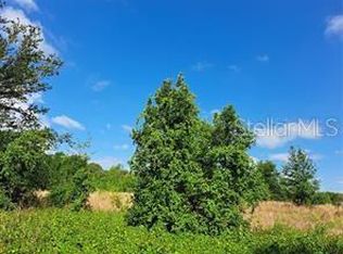 Coffee Creek Ln LOT 6, Clermont, FL 34711