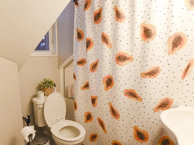 227 Hurley St #3 — Photo 14