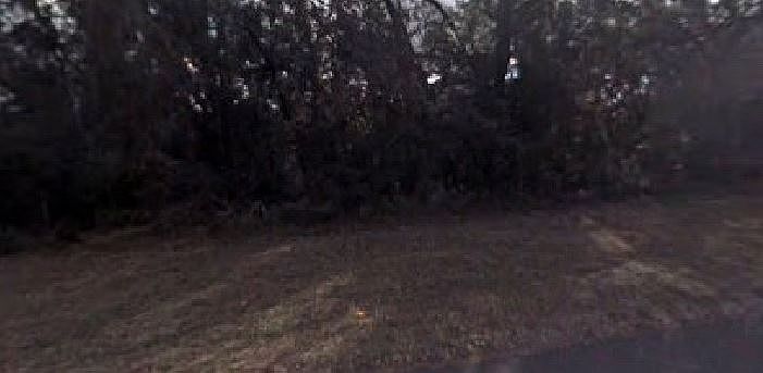 2nd image of 11635 N Kenlake Cir