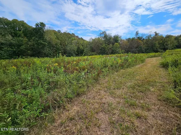 0 State Highway 96, Buffalo Valley, TN 38548