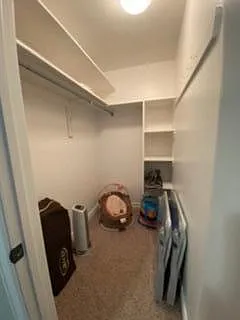 5 Sunflower Rd — Photo 33