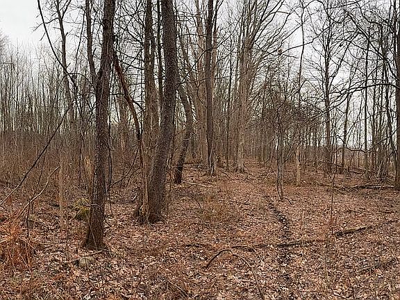 5th image of 0 Sherrod Hill RD