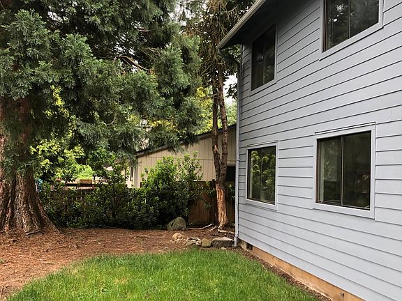Side view of Backyard