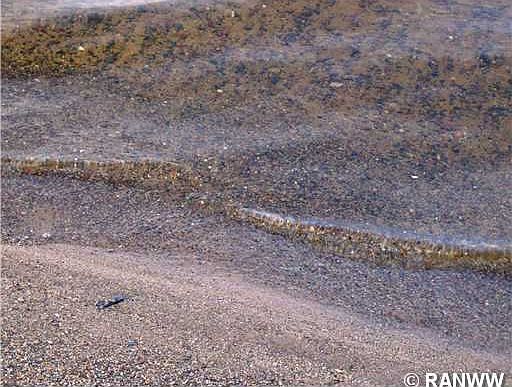 4th image of W9604 Hwy E