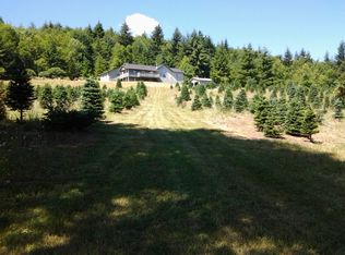 12839 211th Ave SW, Rochester, WA 98579