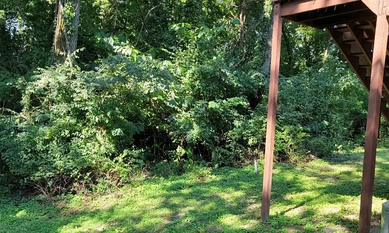 113 Elizabeths Ct — Photo 17