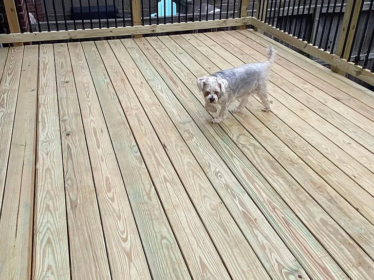 main level deck