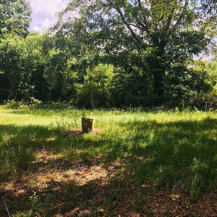 2nd image of 2923 Bill Strong Rd Lot 0