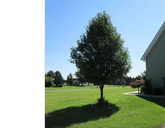Side Yard