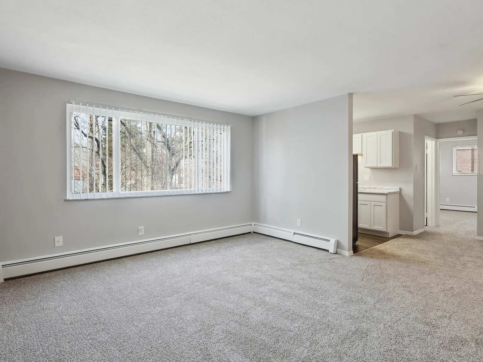Jadaro Apartments — Photo 4