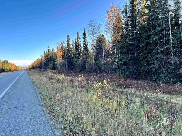 LOT 3 Richardson Hwy, Delta Junction, AK 99737