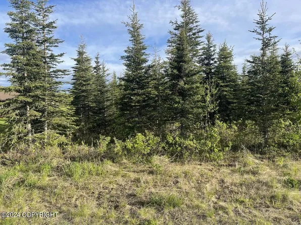 T 4n R 11w Sec 2 Seward Meridian, Soldotna, AK 99669